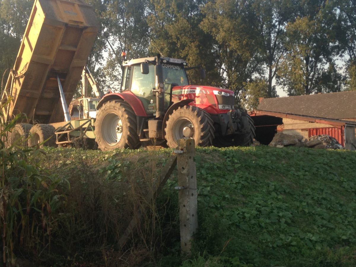 Grondwerk | Coppens Grond- & afbraakwerken in Geraardsbergen, Ninove